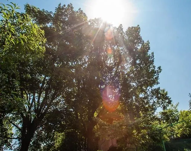 Casa de hóspedes Svet 3*